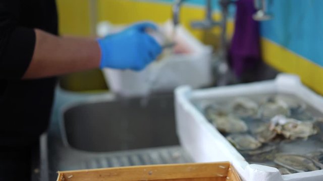 Professional fisherman in gloves shucking fresh oysters on fish market counter and preparing them for selling. Fresh expensive delicacy on market counter. Sellerman peeling mediterranean seafood