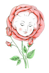 Rose girl. Hand drawing with crayons. Isolated on a white background. Suitable for postcards, prints. Stock illustration.