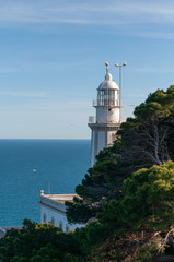 Fototapeta na wymiar lighthouse in the distance near the sea