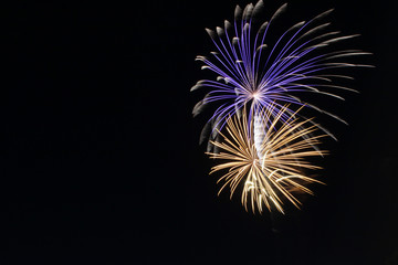 Fototapeta premium colorful fireworks in the night sky