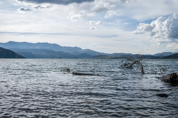 lagoon with dry tree in the middle