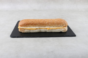 cheese sandwich on a white background 