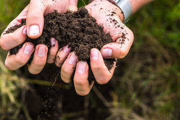 man farmer's hands holding some soil, compost for his garden