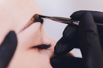 beautician- makeup artist applies paint henna on previously plucked, design, trimmed eyebrows in a...