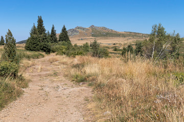 Autumn view of Vitosha Mountain, Bulgaria