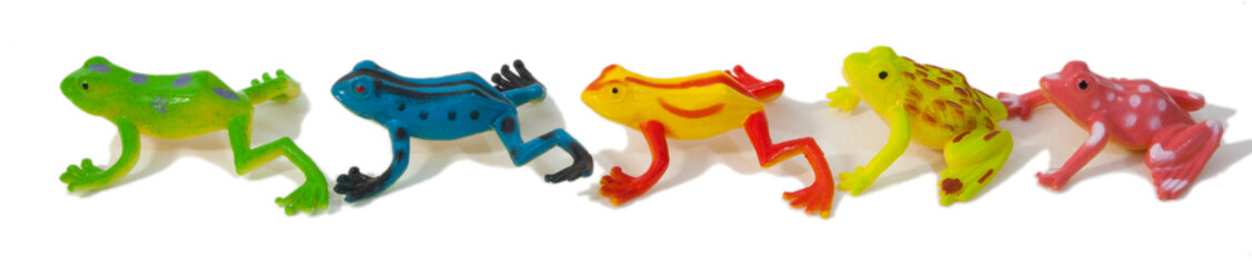 Colorful and exceptionally cute exotic rainforest inspired frogs.