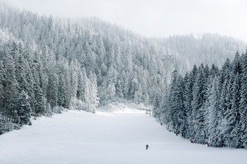 winter in the mountains