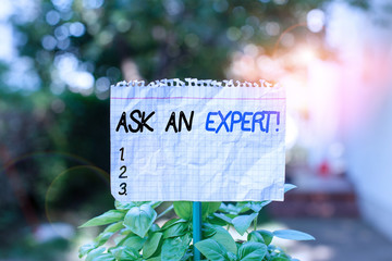 Handwriting text Ask An Expert. Conceptual photo confirmation that have read understand and agree with guidelines Plain empty paper attached to a stick and placed in the green leafy plants