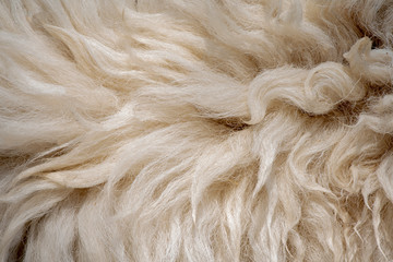 Fleece white,Close up of fleece, exture background.