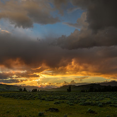 Golden Hour over Yellowstone Fields