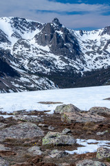 tundra of Rocky Mountain National Park