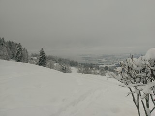 Snow1