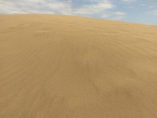 Desert11
