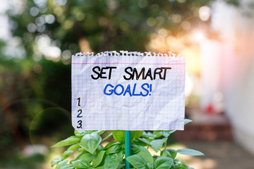 Handwriting text Set Smart Goals. Conceptual photo list to clarify your ideas focus efforts use time wisely Plain empty paper attached to a stick and placed in the green leafy plants
