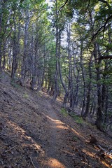 Butterfield canyon hiking path views of the Oquirrh range along the Wasatch Front Rocky Mountains, by Kennecott Rio Tinto Copper mine, Tooele and Salt Lake City fall. Utah, United States.