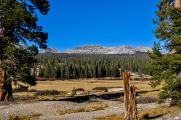 Fototapeta na wymiar Beautiful view of the Yosemite landscapes in California