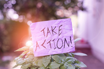 Text sign showing Take Action. Business photo showcasing do something official or concerted to achieve aim with problem Plain empty paper attached to a stick and placed in the green leafy plants