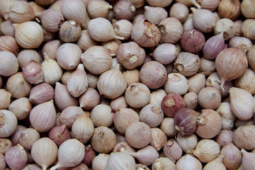 Background of elephant garlic, Thailand.