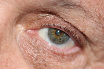 Obraz premium close up of an eye