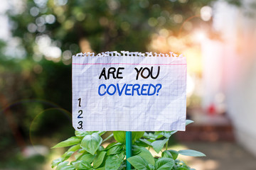 Handwriting text Are You Covered Question. Conceptual photo asking showing if they had insurance in work or life Plain empty paper attached to a stick and placed in the green leafy plants