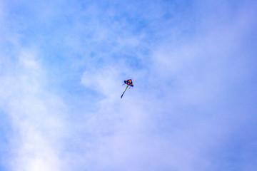 Fototapeta na wymiar A Flying Kite