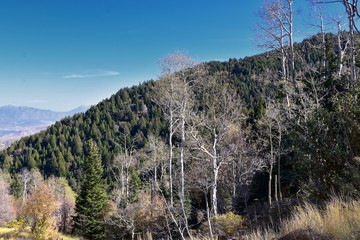 Butterfield canyon hiking path views of the Oquirrh range along the Wasatch Front Rocky Mountains, by Kennecott Rio Tinto Copper mine, Tooele and Salt Lake City fall. Utah, United States.