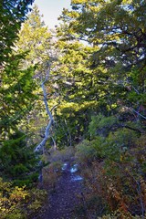 Butterfield canyon hiking path views of the Oquirrh range along the Wasatch Front Rocky Mountains, by Kennecott Rio Tinto Copper mine, Tooele and Salt Lake City fall. Utah, United States.