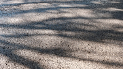 Background of dark asphalt road with sun light and tree's shadow.