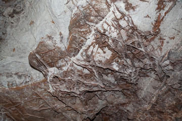 Wind Cave National Park Formations