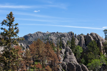 View from Black Elk Peak Trail