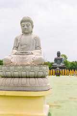 Fototapeta premium Buddha statues at Chen Tien Buddhist Temple in Foz do Iguacu, Parana - Brazil