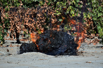 Close up of a pile of burning  raising paper