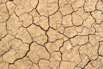 Wall texture soil dry crack pattern of drought lack of water of nature brown old broken background.