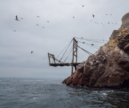 Birds fly around wood structure at an island - Ballestas Islands Peru