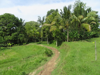 Photos from Bali 