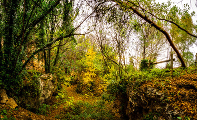 Fototapeta na wymiar Mediterranean jungle in autumn. National park of the Cabrentá de Estubeny