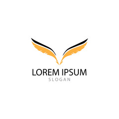 feather logo vector templates