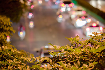 A blurry abstract background of the light of a car on a road that runs through a lot, hits the leaves Tree branches on the roadside, one of the artistic beauty in urban communities