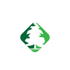 pine tree logo illustration vector design