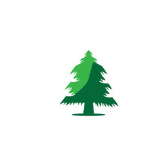 pine tree logo illustration vector design