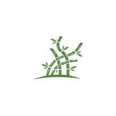 Obraz premium bamboo logo with green leaf vector icon template
