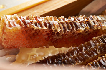Honeycomb, holding by hands with latex gloves on 