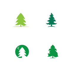 pine tree logo illustration vector design