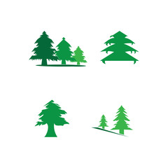 pine tree logo illustration vector design