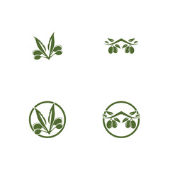 Olive logo template vector icon illustration design