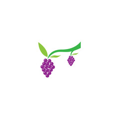 Grapes logo template vector icon illustration design