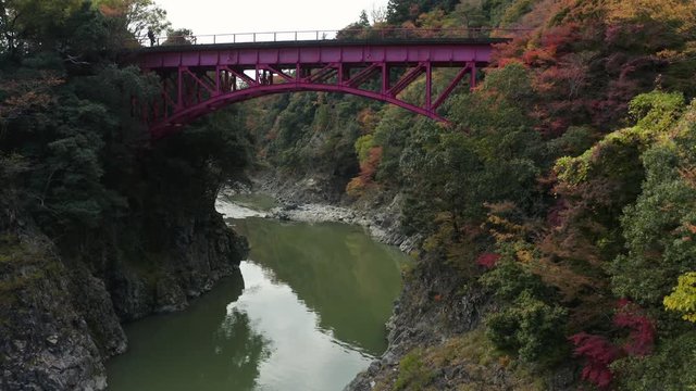 Red bridge crossing Eigenji River in Autumn, Japanese Maples in color. Aerial shot