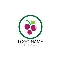 Grapes logo template vector icon illustration design