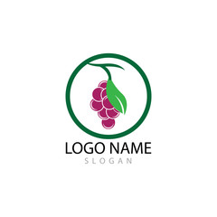 Grapes logo template vector icon illustration design