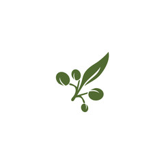 Fototapeta na wymiar Olive logo template vector icon illustration design